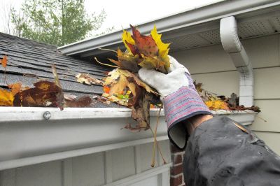 Downspout Clearing