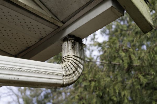 Roof Drain Replacement in Bolingbrook